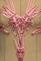 Bodysuit | 025 Pink