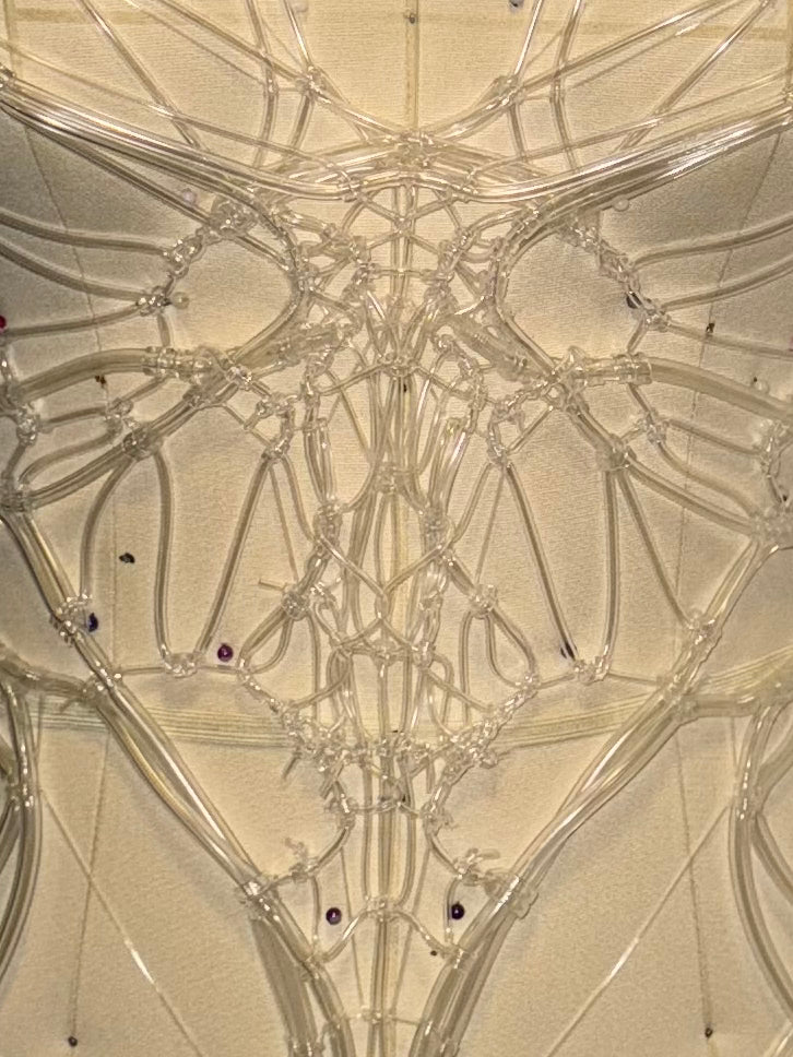 Bodysuit | 035 CLEAR